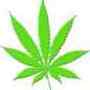 Weed420
