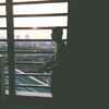 Stevan_Matthew