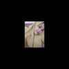 Feby
