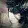 Adhon
