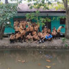 UDIN