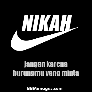 kardusbolong
