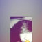 Yourbaee