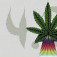 Mancay420