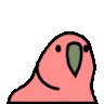 Deyskuy