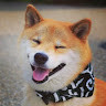 Roxzy