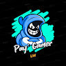 Pay Gamer