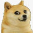 Leoo