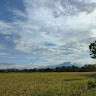MiePangsitEnak