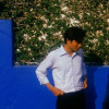 artsandhitya