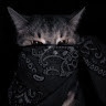 Noburu BY