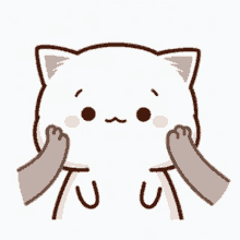 FlyingCatt