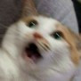 bentenmmm5
