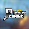 Palpuy Gaming