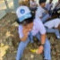 dadang27