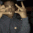 Fvyn