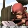 jer meledaktriz