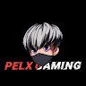 PELX Gaming