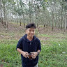 Patih Prawira Bani Putra