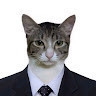 Lynx Ynzy