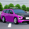 acaricer