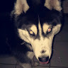 Raff Mwmwk