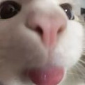 bimishere