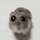 mustbeEhan