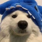 ryobiii