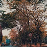 edy syafrianto