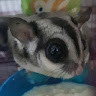 Mpeysubejo