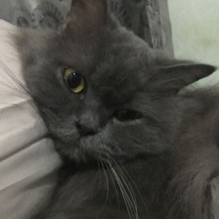 Lanxy