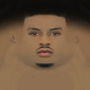 foleshyt