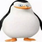 ceon