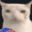 -1-1-1-1-